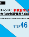 NISA46