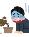 お金の木が折れてしまう